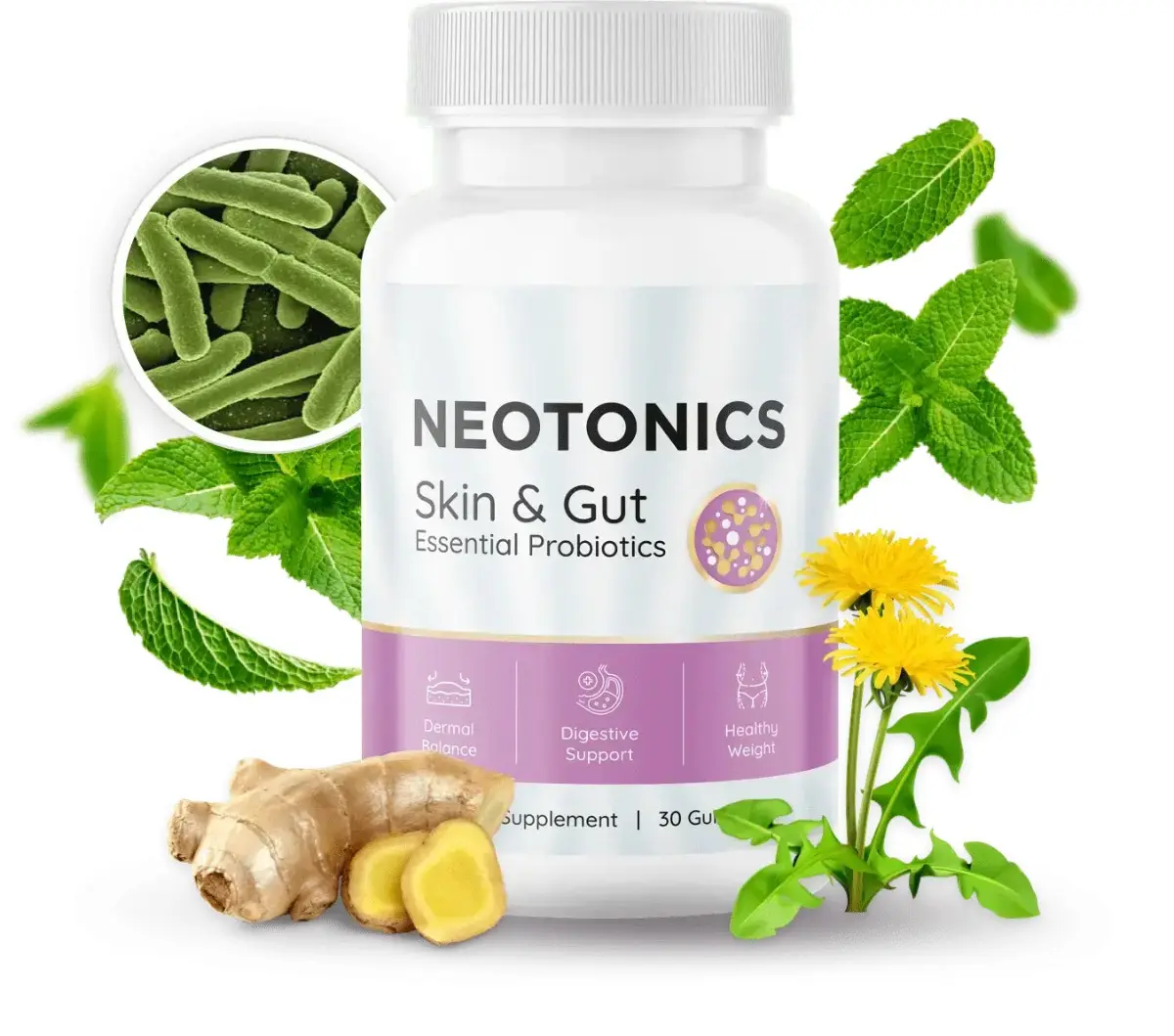 What-is-Neotonics?